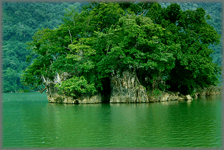 image tour